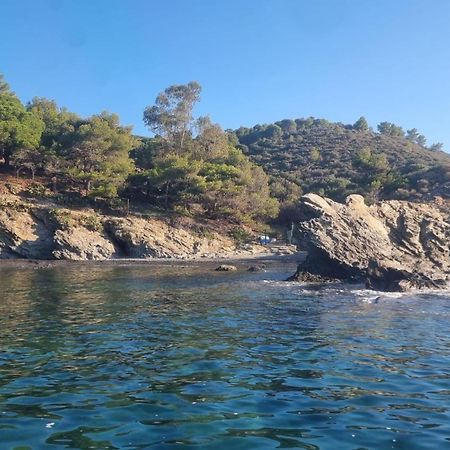 Maison Sur La Roche, Vue Mer Exceptionnelle, Parking Prive, Quartier Historique, Calme Villa Collioure Dış mekan fotoğraf