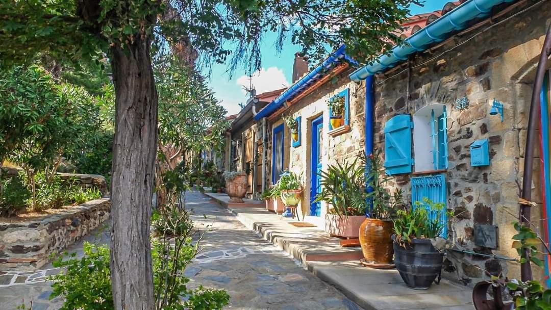 Maison Sur La Roche, Vue Mer Exceptionnelle, Parking Prive, Quartier Historique, Calme Villa Collioure Dış mekan fotoğraf