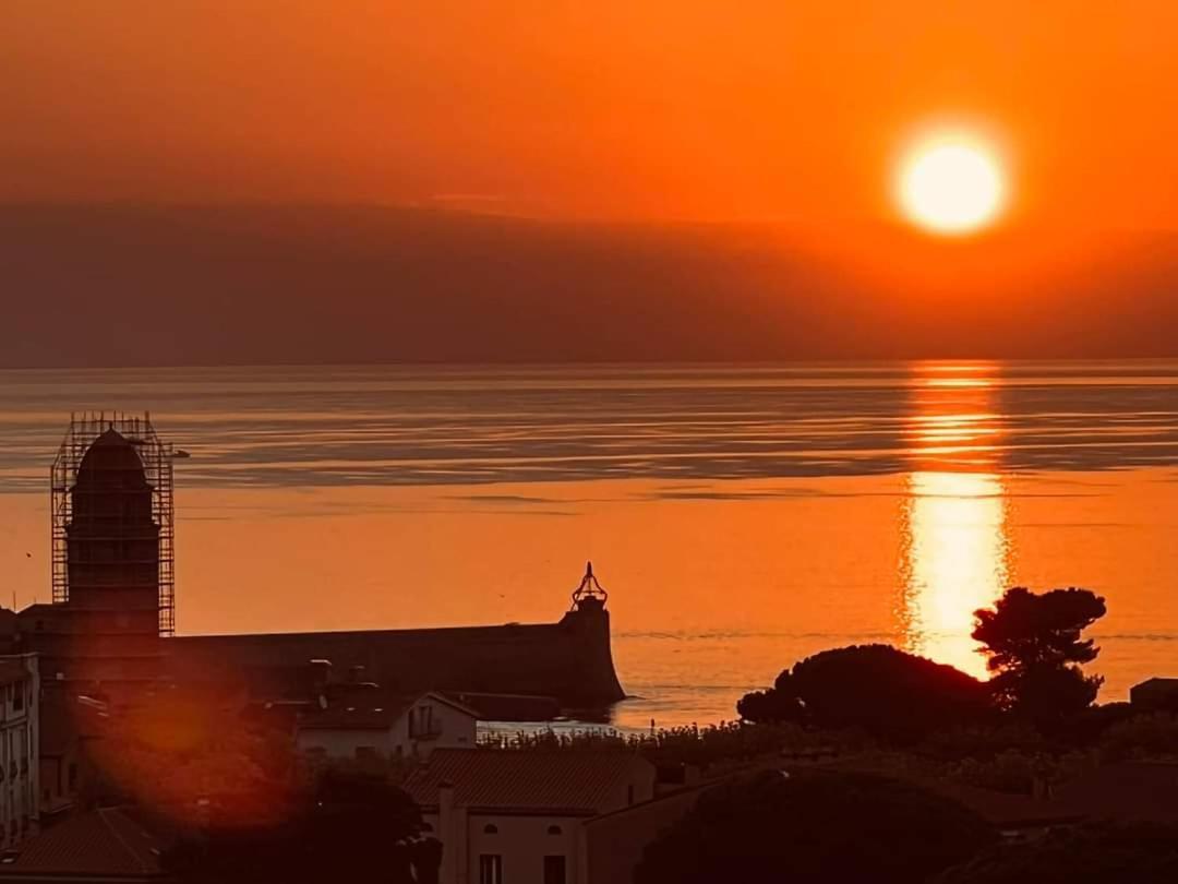 Maison Sur La Roche, Vue Mer Exceptionnelle, Parking Prive, Quartier Historique, Calme Villa Collioure Dış mekan fotoğraf