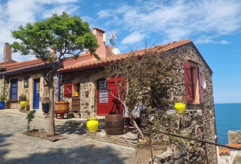 Maison Sur La Roche, Vue Mer Exceptionnelle, Parking Prive, Quartier Historique, Calme Villa Collioure Dış mekan fotoğraf