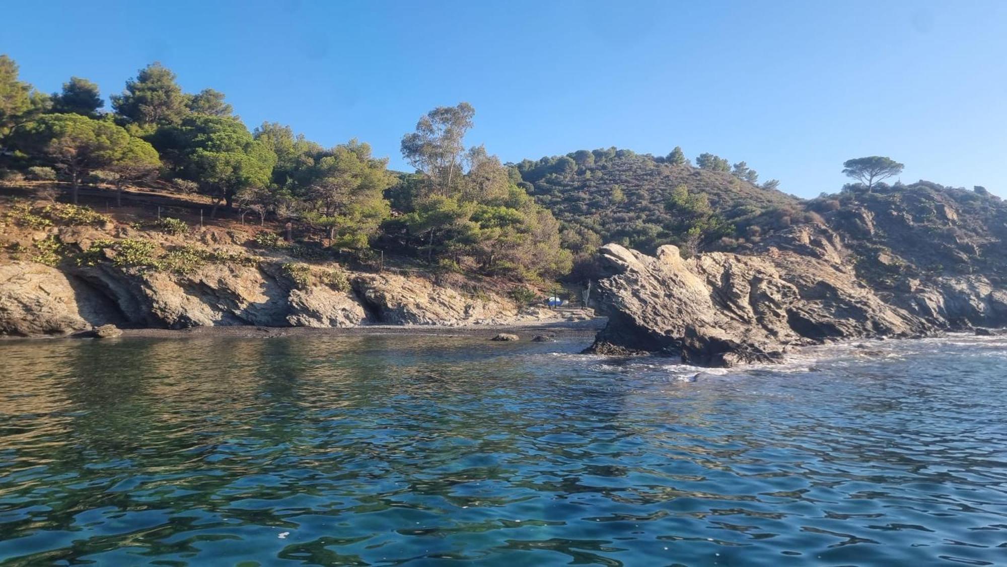 Maison Sur La Roche, Vue Mer Exceptionnelle, Parking Prive, Quartier Historique, Calme Villa Collioure Dış mekan fotoğraf